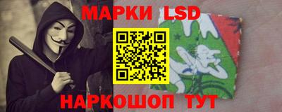 спиды Гатчина