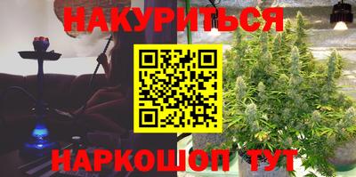спиды Гатчина