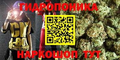 спиды Гатчина