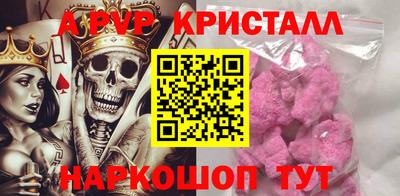 спиды Гатчина