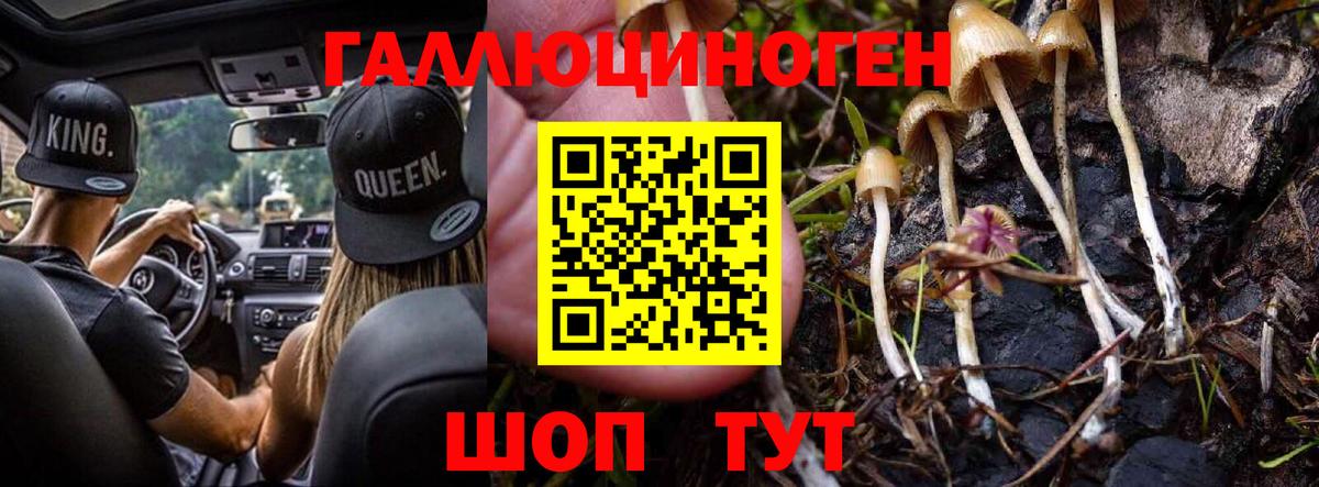 Псилоцибиновые грибы мухоморы  купить  сайты  Заринск  Вход с VPN 