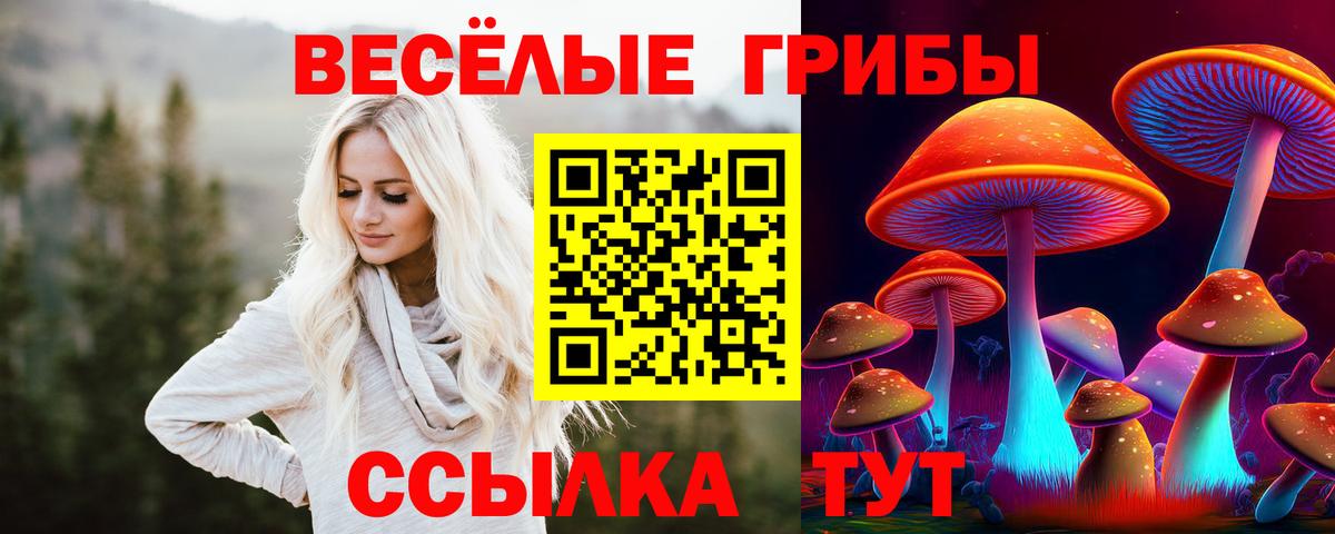 Галлюциногенные грибы GOLDEN TEACHER Заринск
